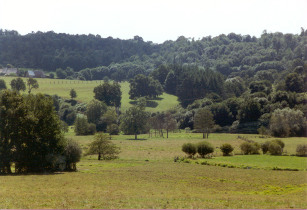 collina verde vicina Avranches
