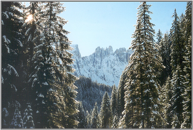 photo Latemar