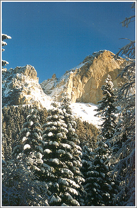 photo Rosengarten