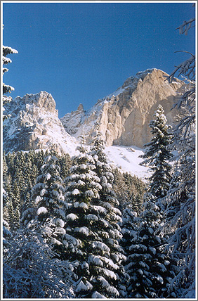 Photo Rosengarten 1