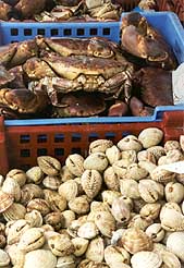 fruits de mer (praires, tourteaux)