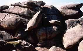 Pink Rocks