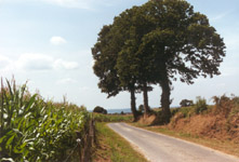Country side near Loges suer Brecey