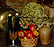 cider bretagne brittany