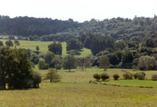green Normand countryside