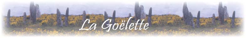 dolmens dans paysage