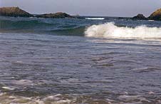 vagues 