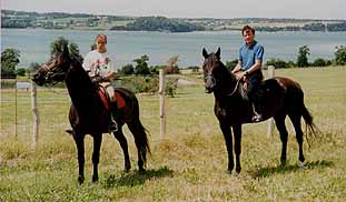 Équitation sur fond de vallé de Rance